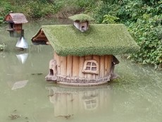 Ценка Василева – „Във водата”